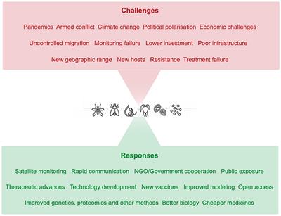 Molecular Cellular Parasitology: The Decades and Challenges Ahead